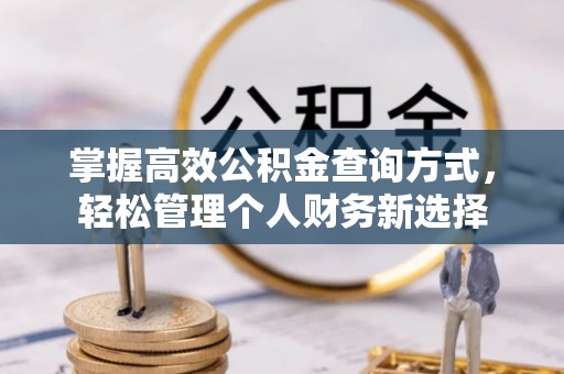 东兰掌握高效公积金查询方式，轻松管理个人财务新选择