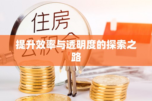 东兰提升效率与透明度的探索之路
