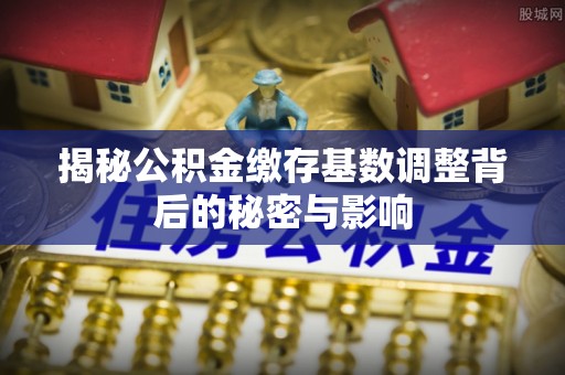 东兰揭秘公积金缴存基数调整背后的秘密与影响