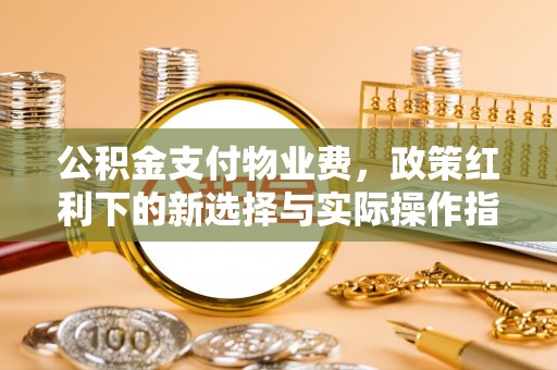 东兰公积金支付物业费，政策红利下的新选择与实际操作指南