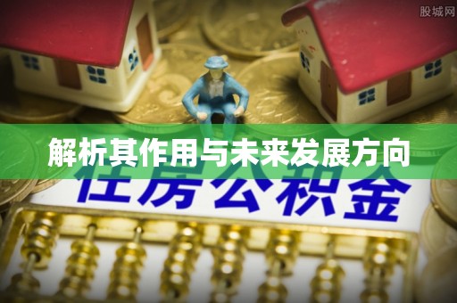 东兰解析其作用与未来发展方向