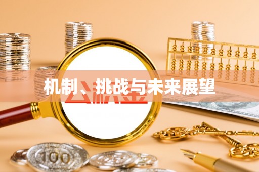东兰机制、挑战与未来展望